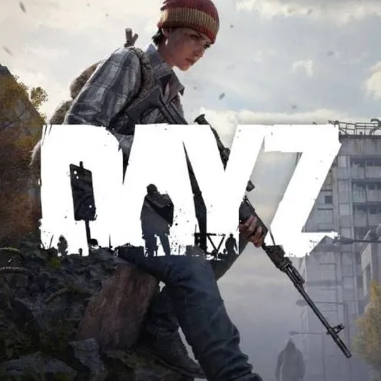 DayZ Game